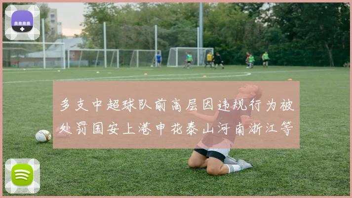 多支中超球队前高层因违规行为被处罚国安上港申花泰山河南浙江等队受影响