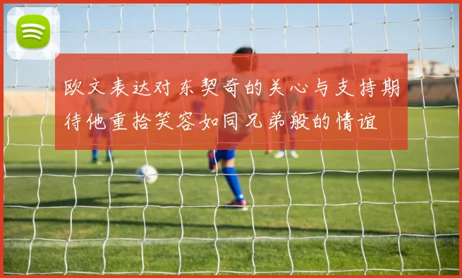 欧文表达对东契奇的关心与支持期待他重拾笑容如同兄弟般的情谊