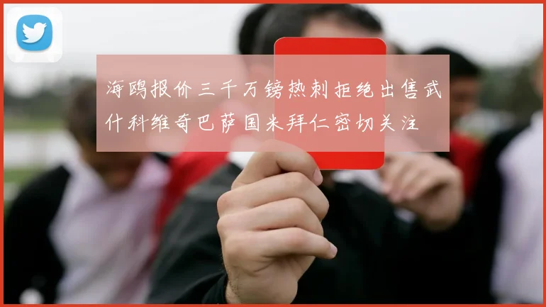 海鸥报价三千万镑热刺拒绝出售武什科维奇巴萨国米拜仁密切关注